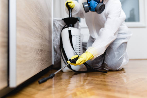 Best Termite Control Services  in Verona Walk, FL