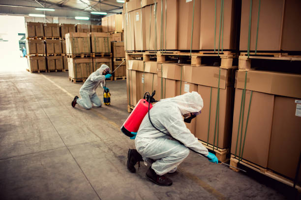 Best Affordable Pest Control Services  in Verona Walk, FL