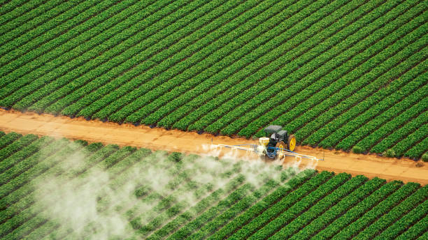 Best Commercial Pest Control Services  in Verona Walk, FL
