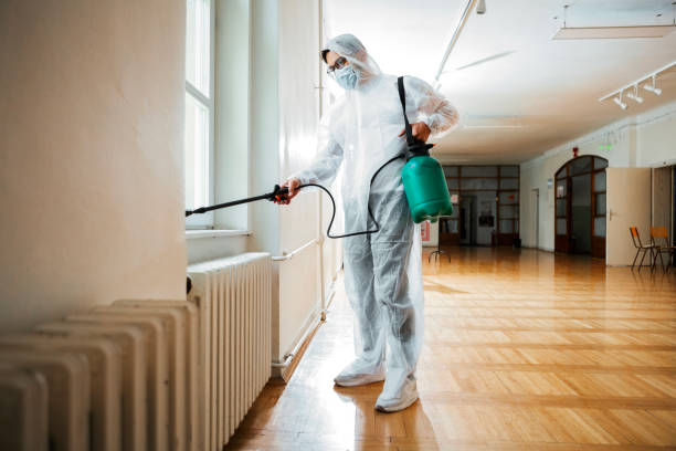 Best Affordable Pest Control Services  in Verona Walk, FL